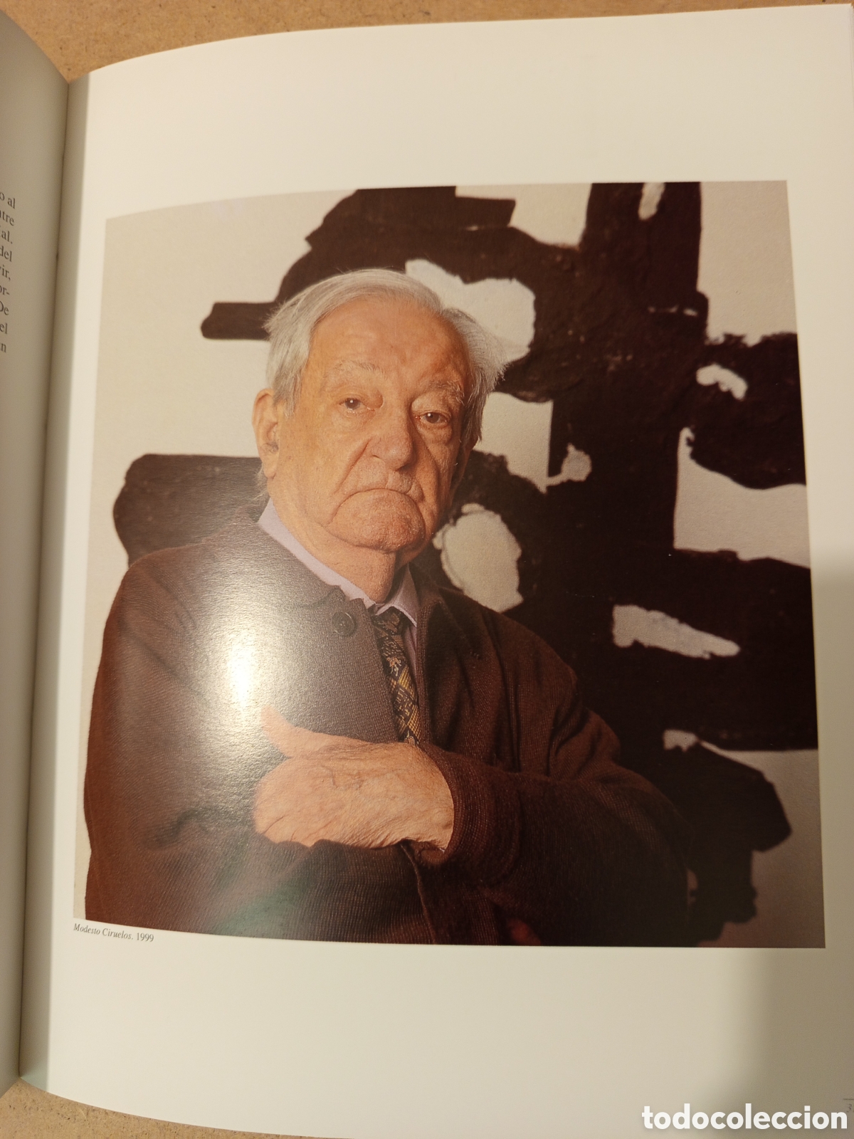 Arte: MODESTO CIRUELOS (JUNTA DE CASTILLA Y LEON) - Foto 11