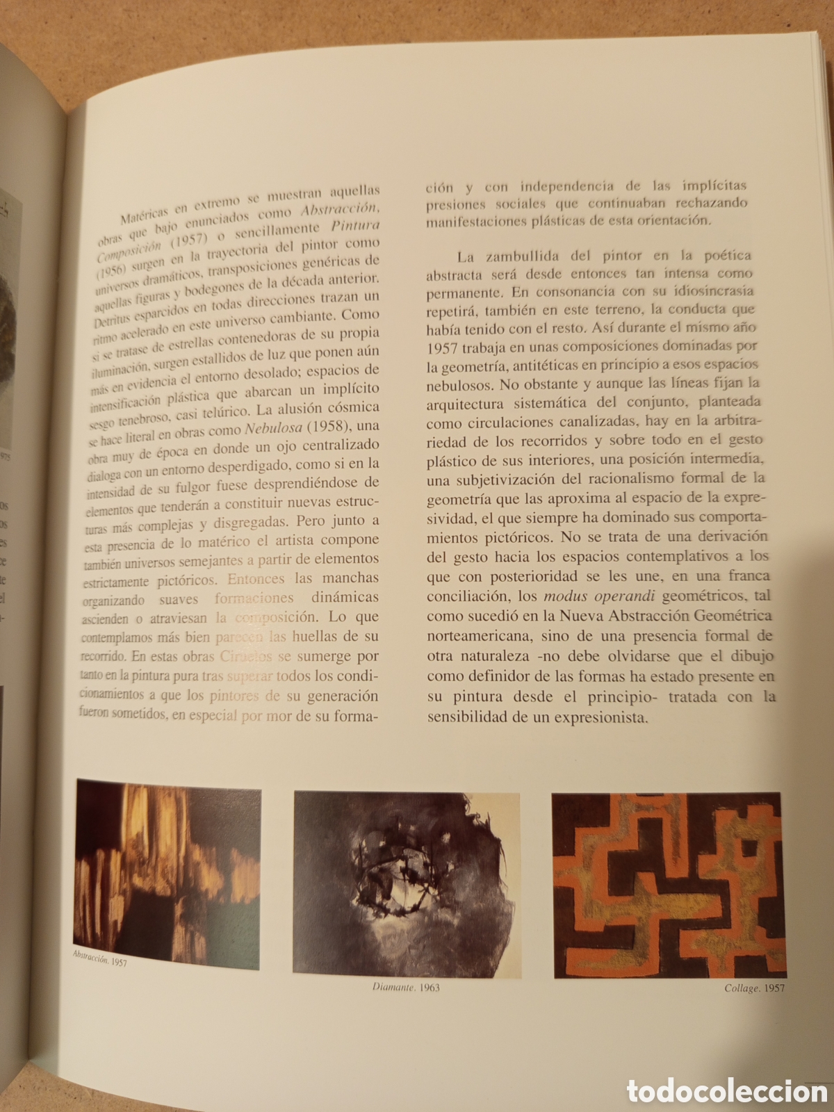 Arte: MODESTO CIRUELOS (JUNTA DE CASTILLA Y LEON) - Foto 12