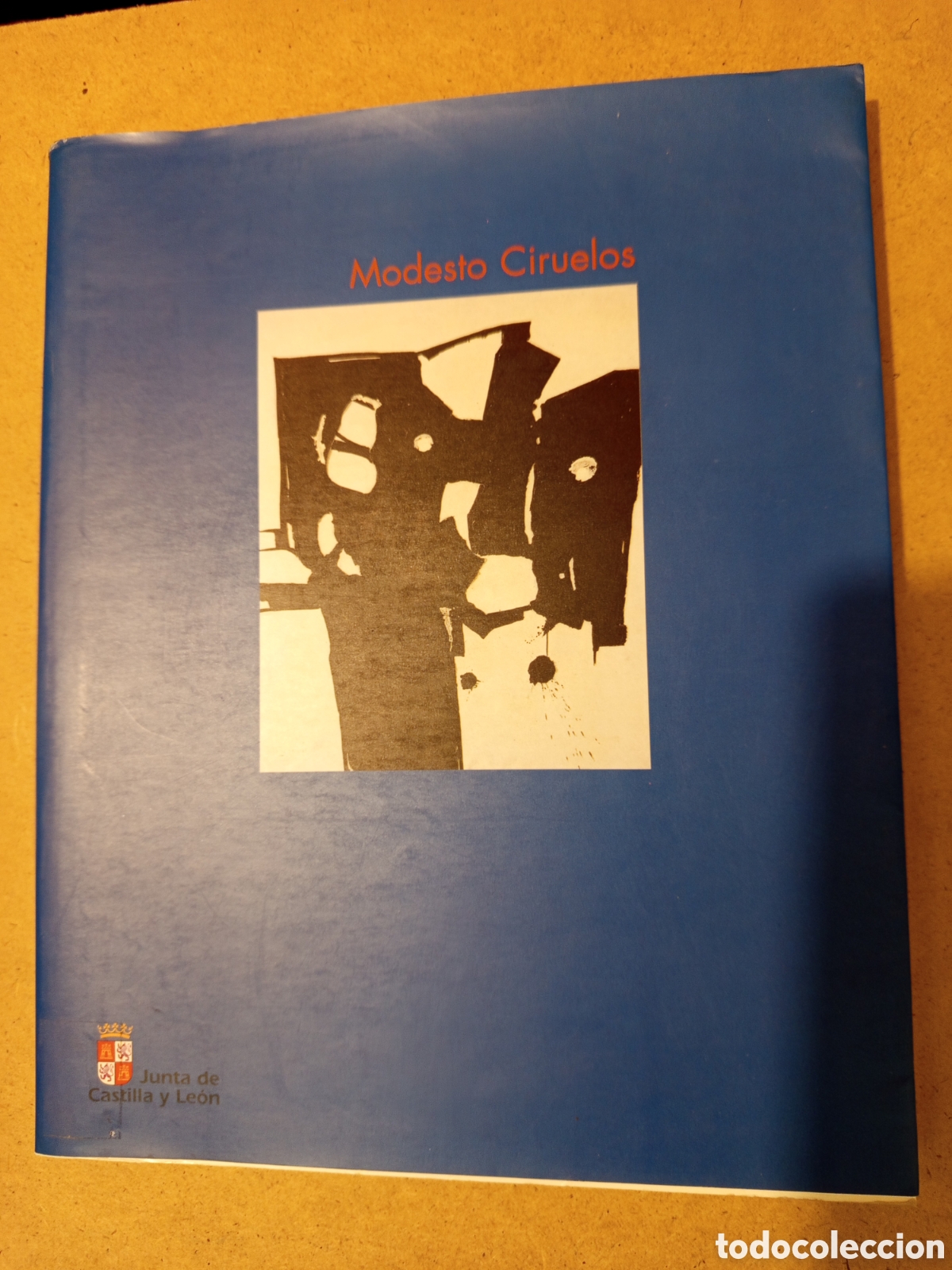 Arte: MODESTO CIRUELOS (JUNTA DE CASTILLA Y LEON) - Foto 1