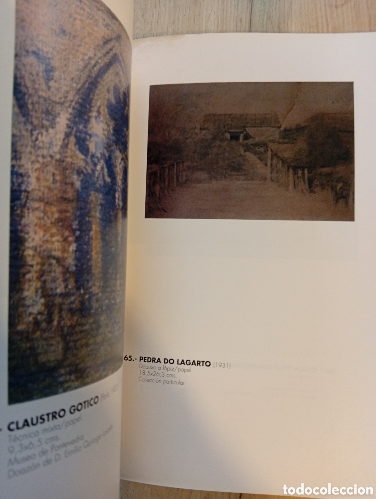 Arte: Libro catalogo Manuel Quiroga Losada - Foto 8