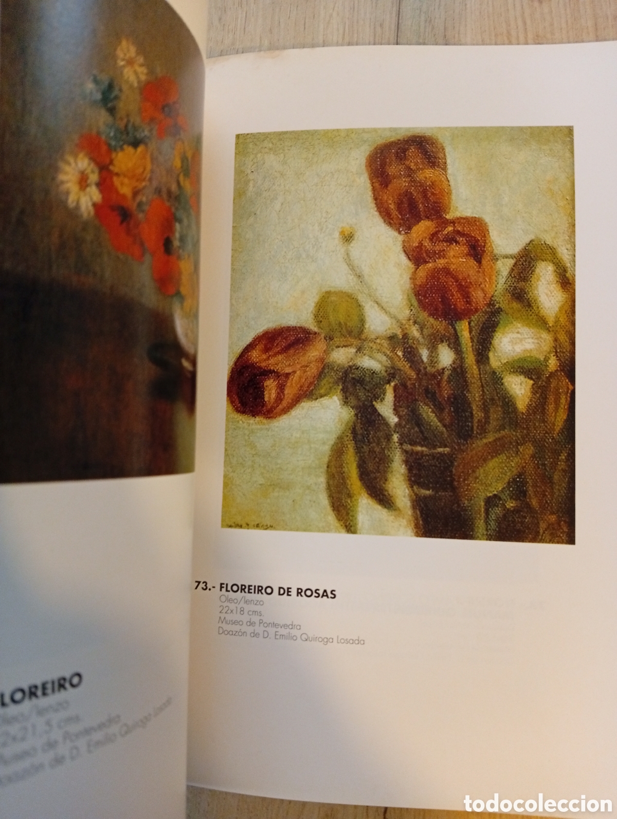 Arte: Libro catalogo Manuel Quiroga Losada - Foto 9