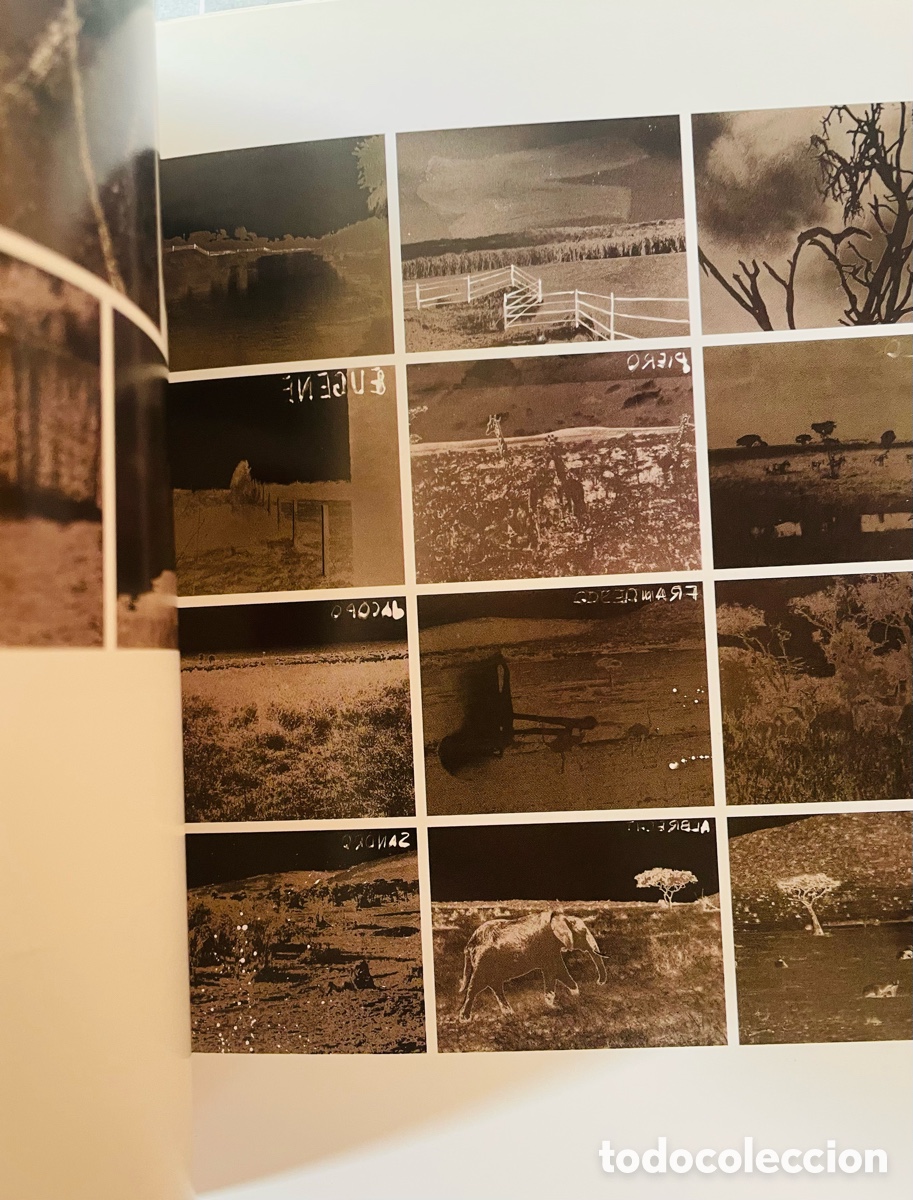 Arte: La mirada compartida, 2001. Cat&aacute;logo Exposici&oacute;n - Foto 3