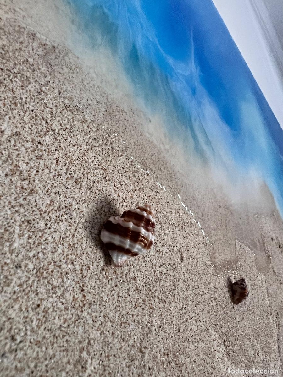 Arte: Horizonte Mediterr&aacute;neo - Foto 7