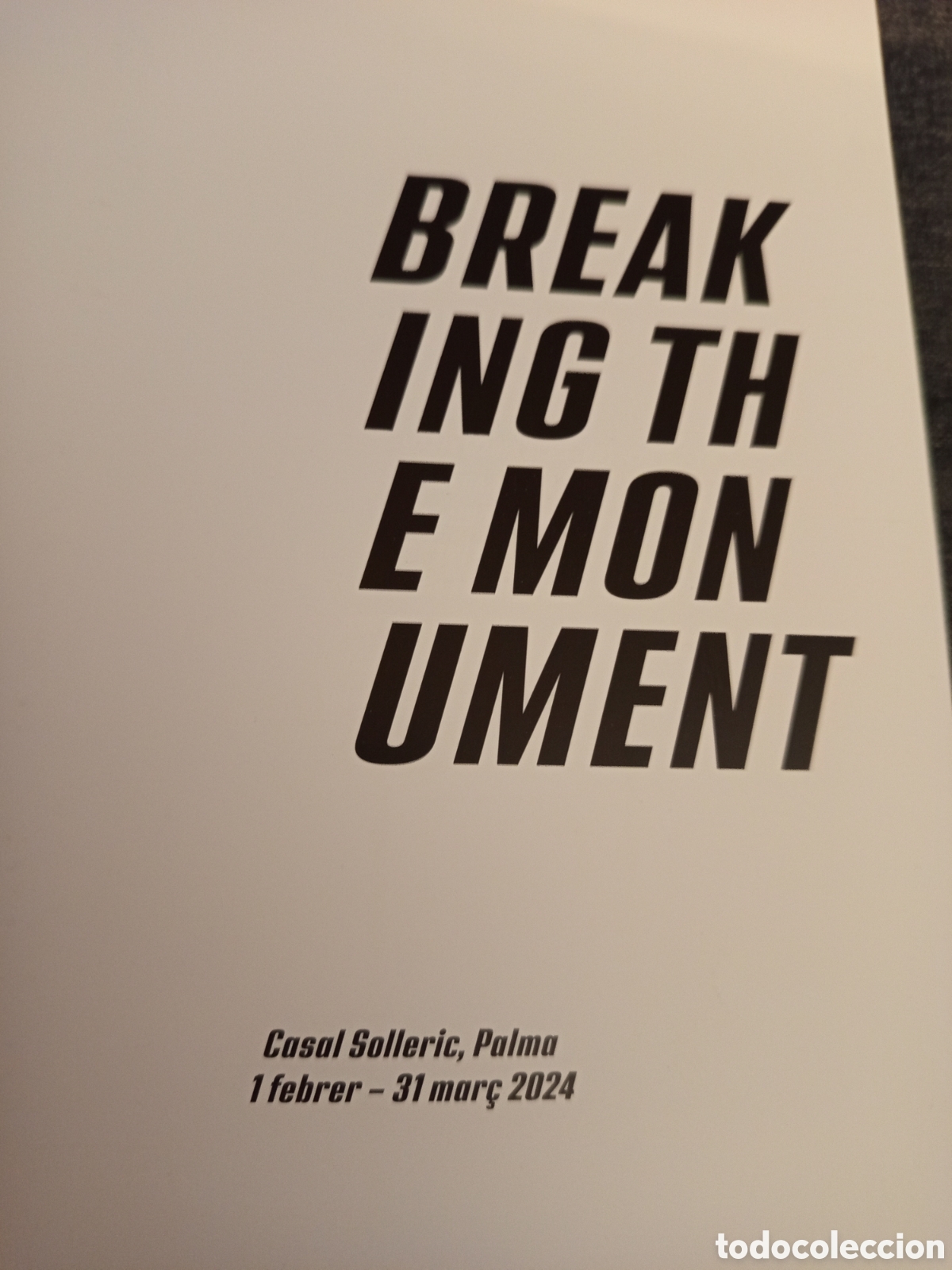 Arte: BREAKING THE MONUMENT (CASAL SOLLERIC) - Foto 2