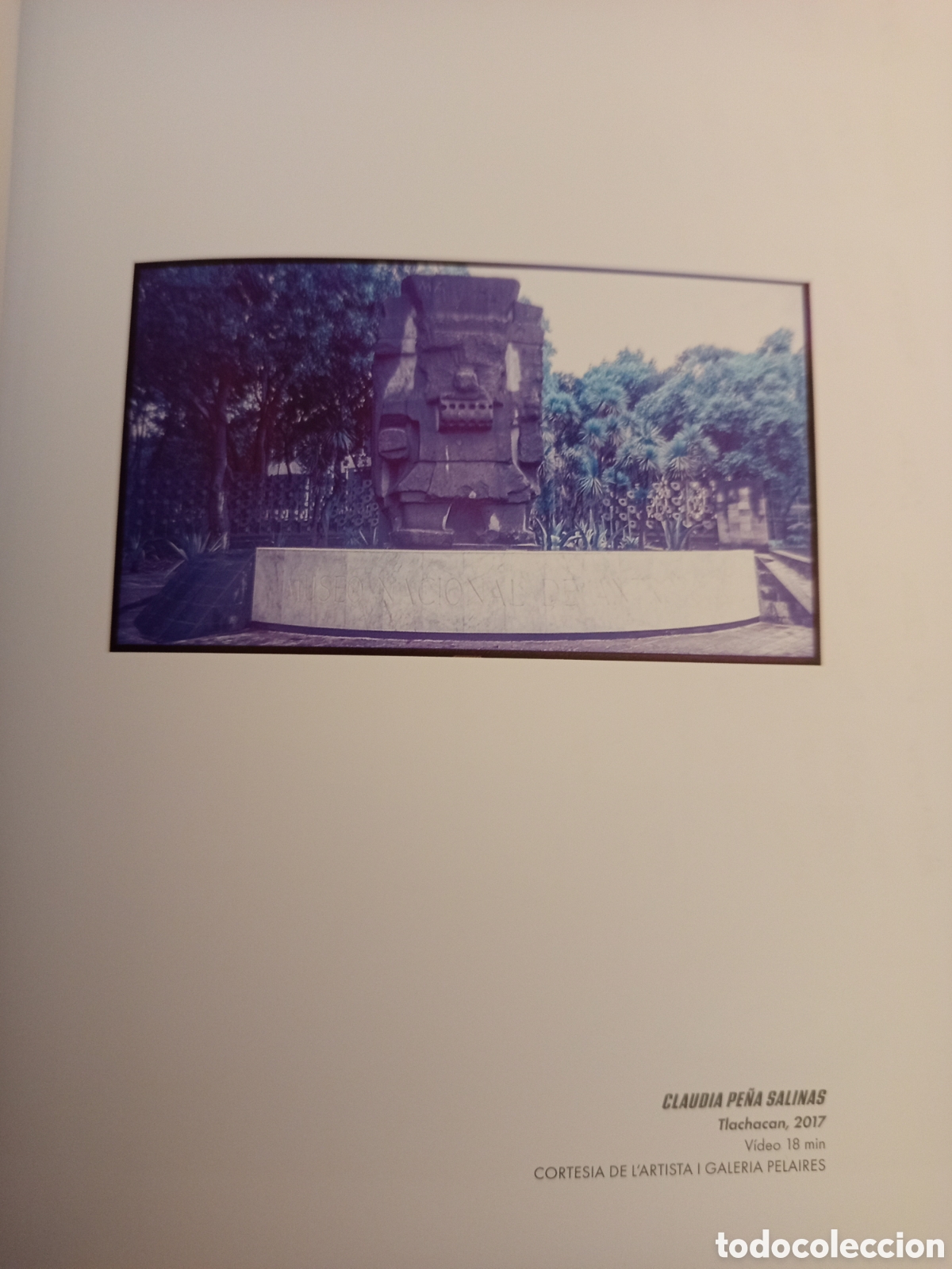 Arte: BREAKING THE MONUMENT (CASAL SOLLERIC) - Foto 6