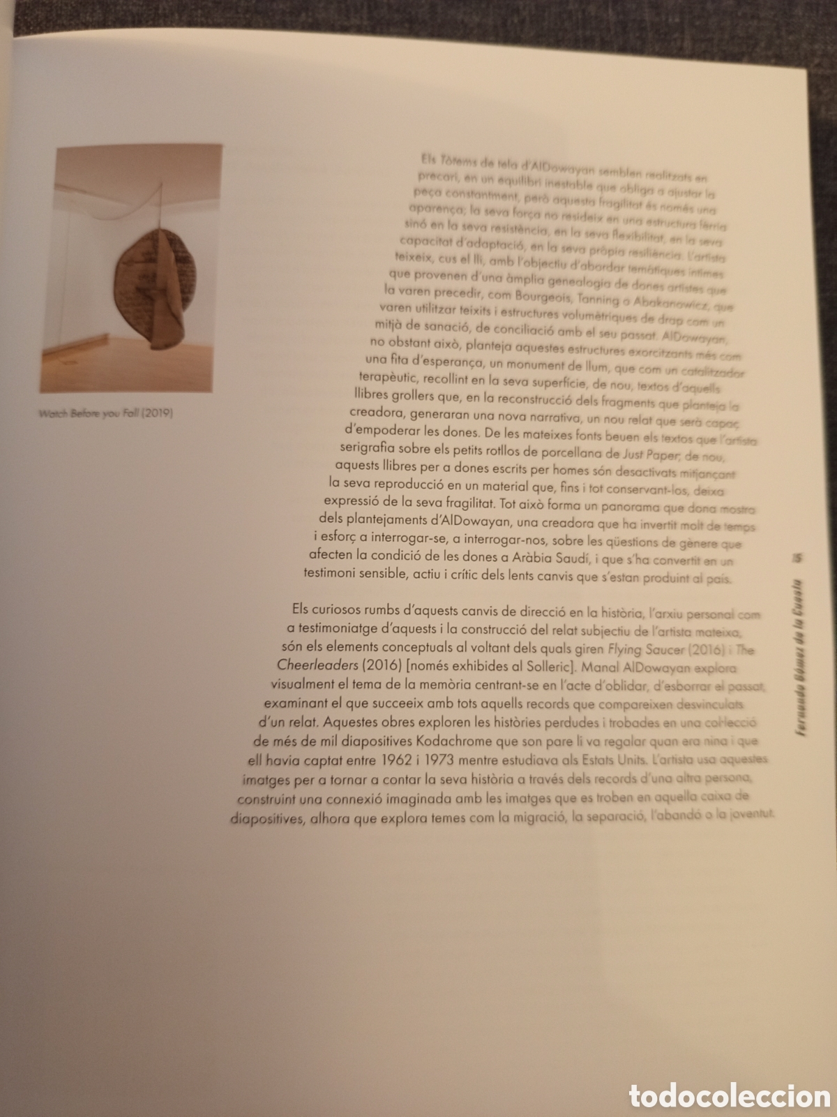 Arte: BREAKING THE MONUMENT (CASAL SOLLERIC) - Foto 13