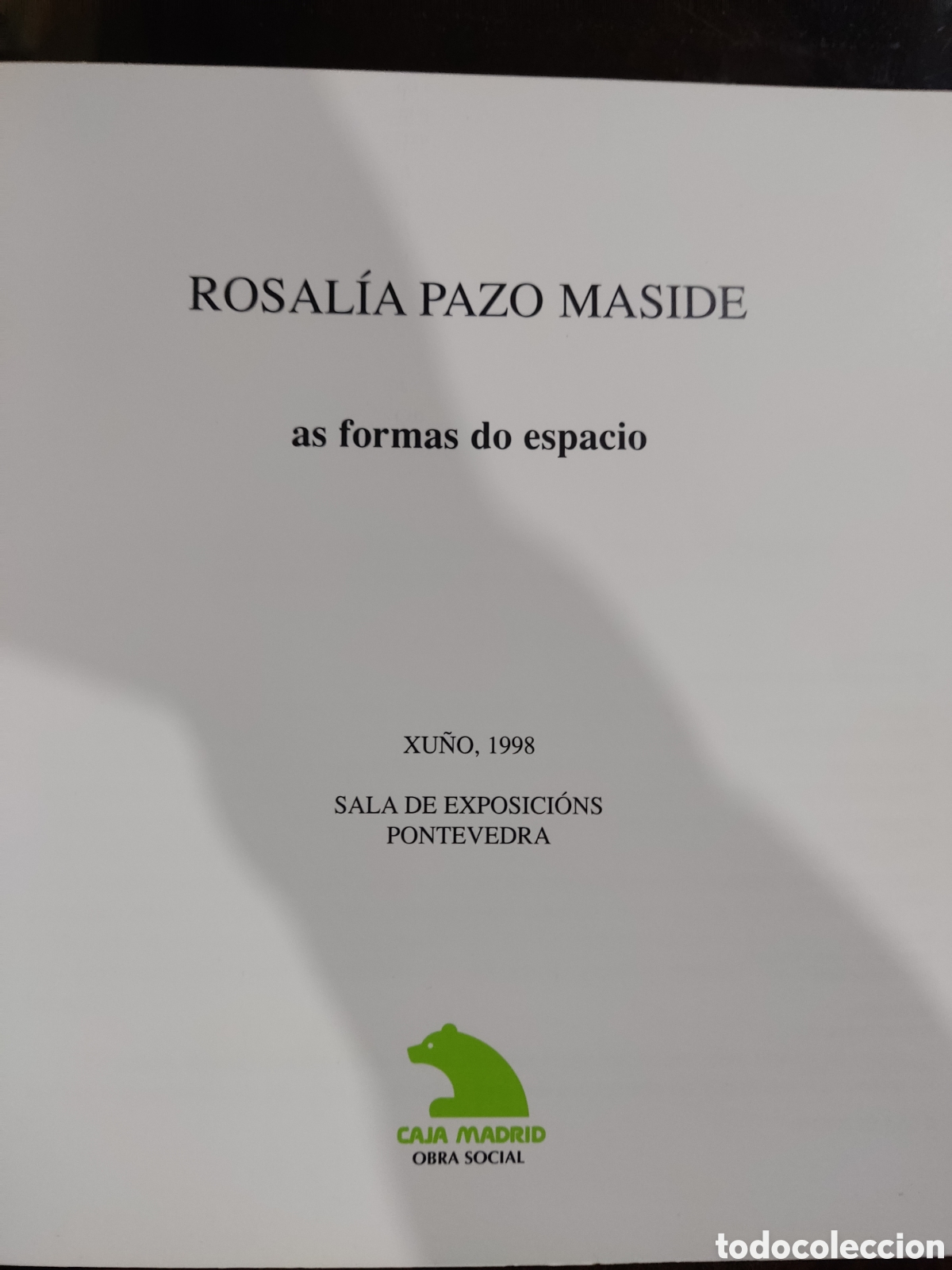 Arte: Rosal&iacute;a Pazo Maside a&ntilde;o1998 - Foto 2