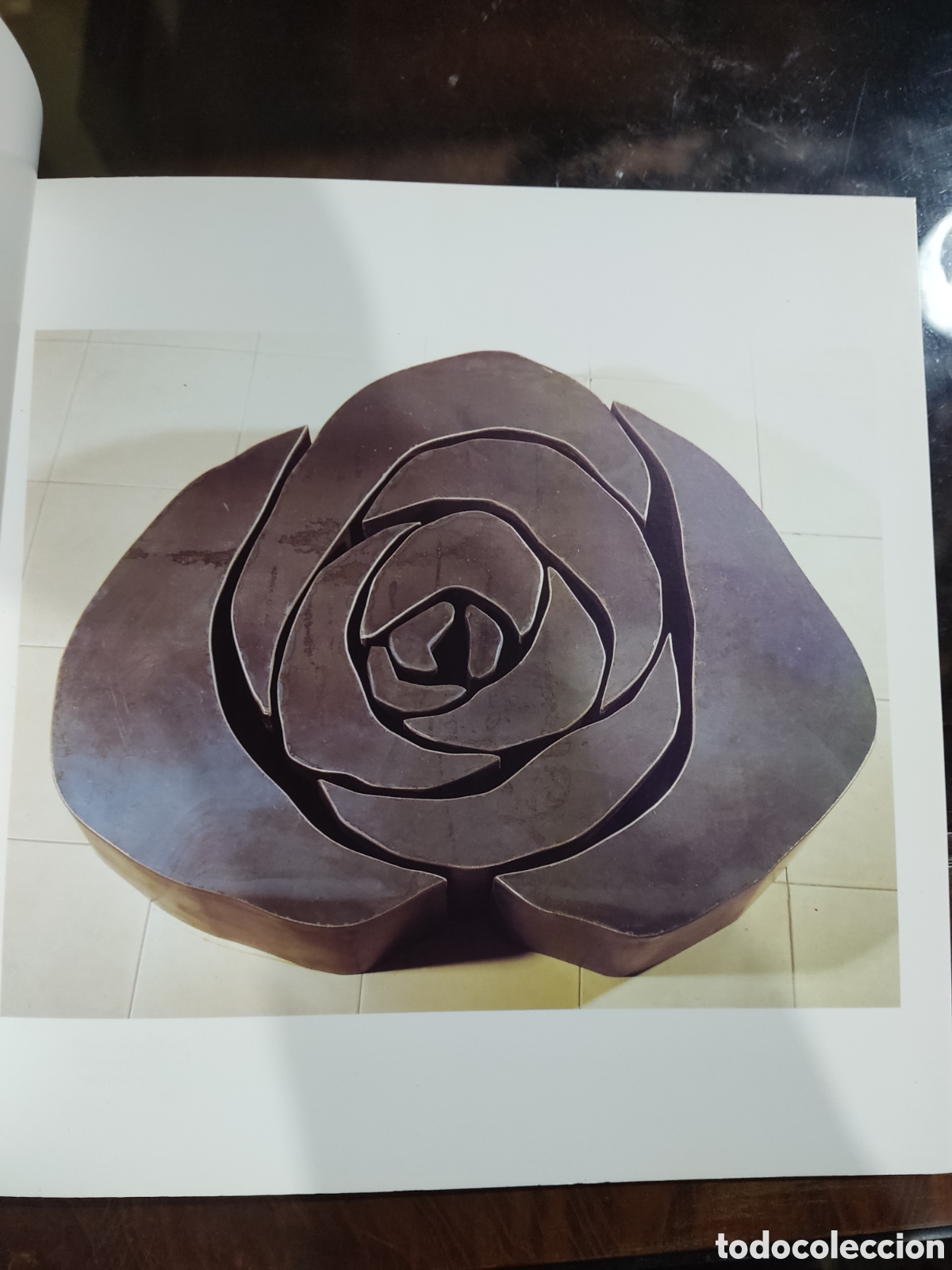 Arte: Rosal&iacute;a Pazo Maside a&ntilde;o1998 - Foto 8