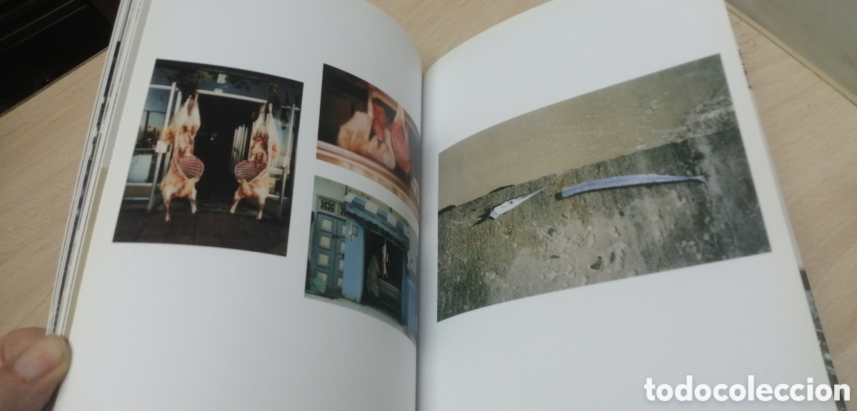 Arte: Mona Hatoum Projecci&oacute; Textos multiling&uuml;es en catal&aacute;n espa&ntilde;ol e ingl&eacute;s - Foto 15