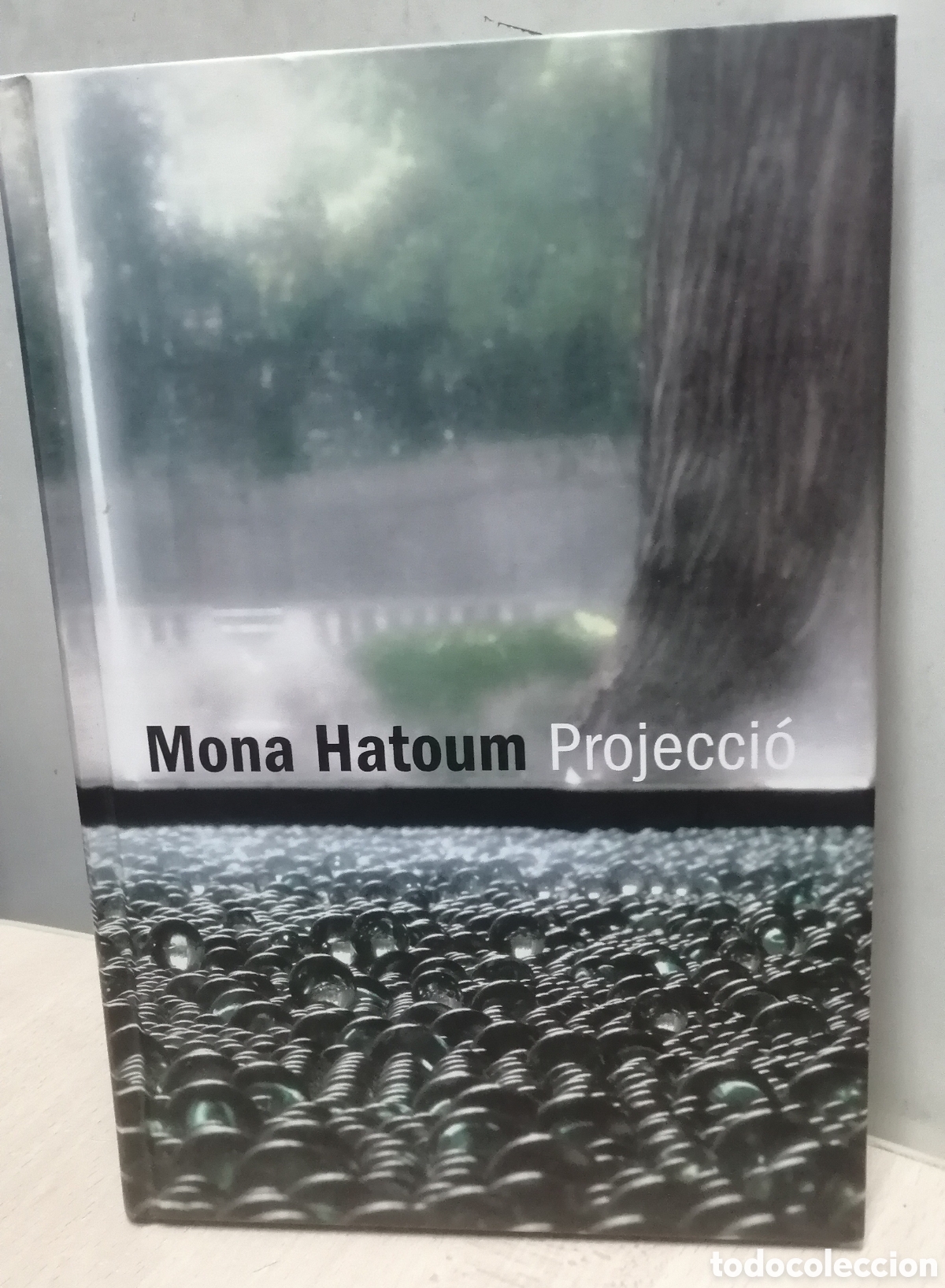 Arte: Mona Hatoum Projecci&oacute; Textos multiling&uuml;es en catal&aacute;n espa&ntilde;ol e ingl&eacute;s - Foto 1