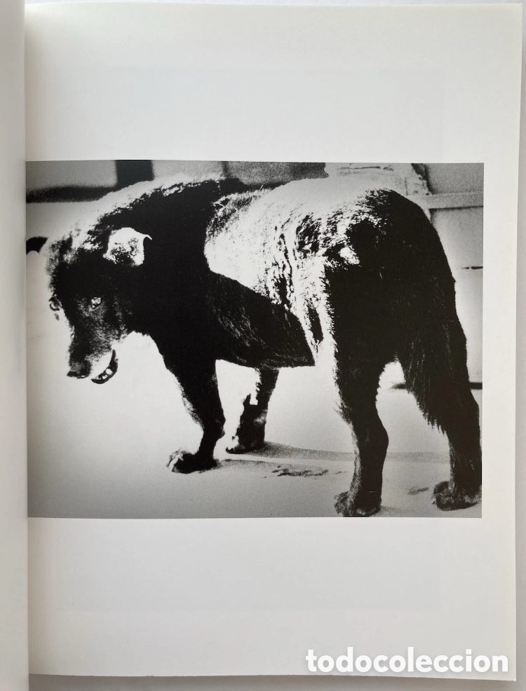 Arte: Daido Moriyama - 1965 - Foto 5