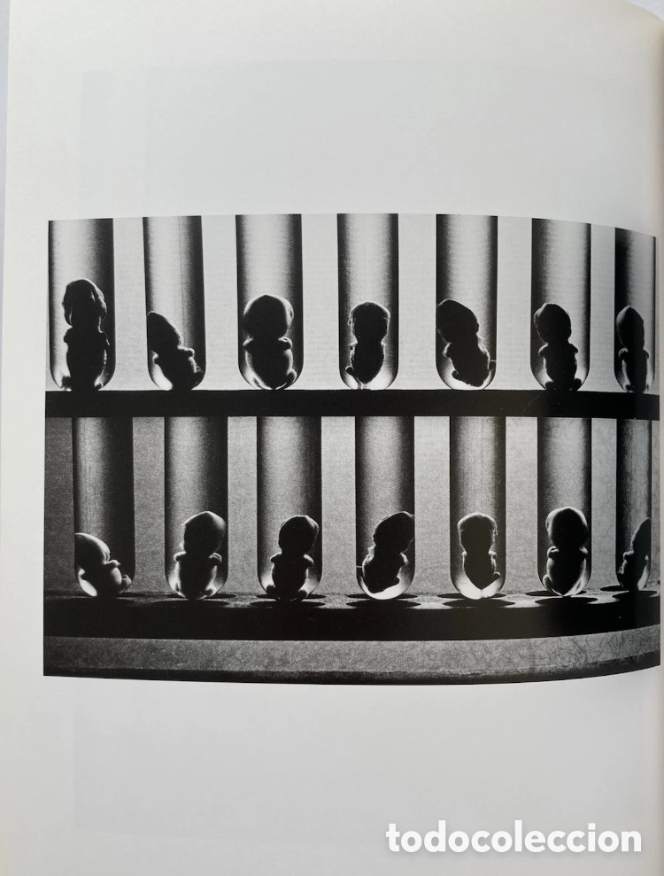 Arte: Daido Moriyama - 1965 - Foto 11