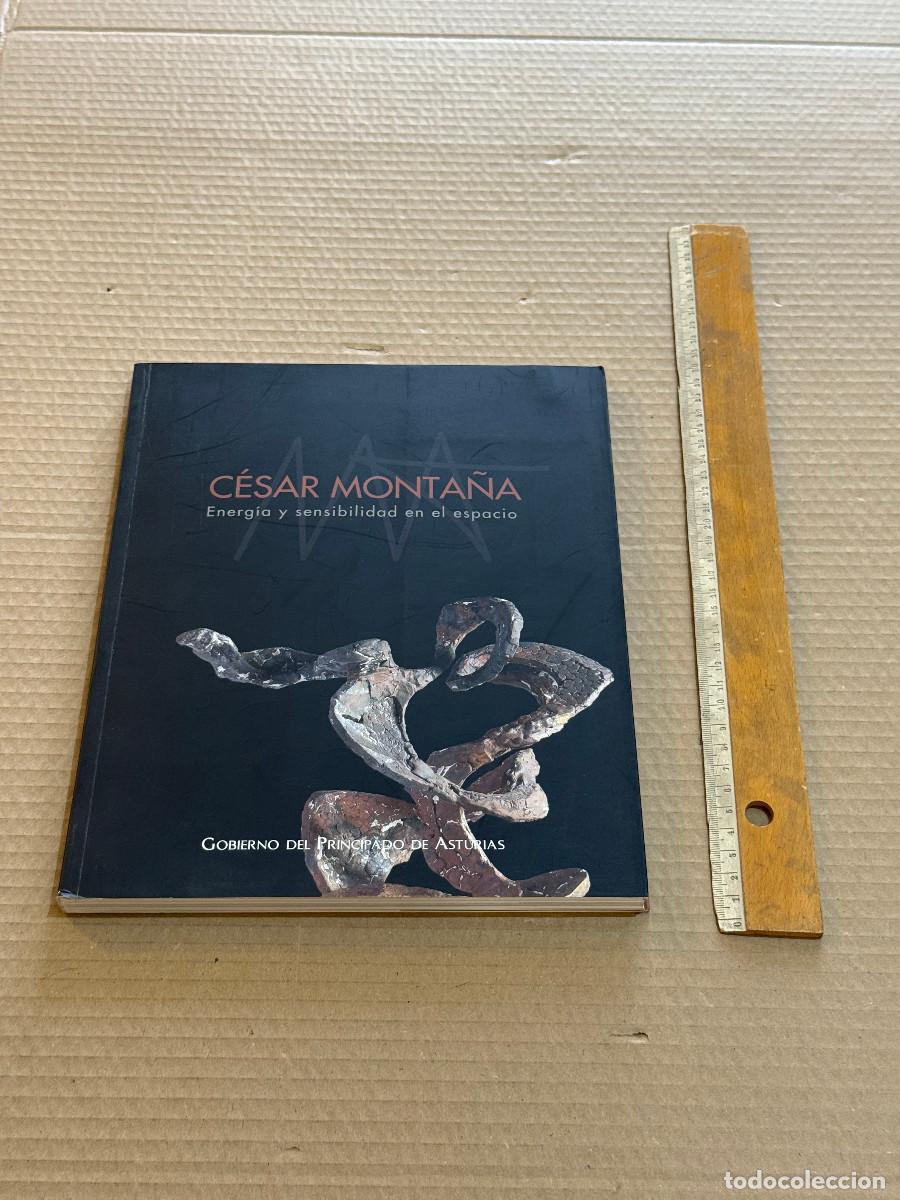 Kunst: CESAR MONTAÑA. ENERGIA Y SENSIBILIDAD EN EL ESPACIO. PRINCIPADO DE ASTURIAS. ESCULTURA ESPAÑOLA