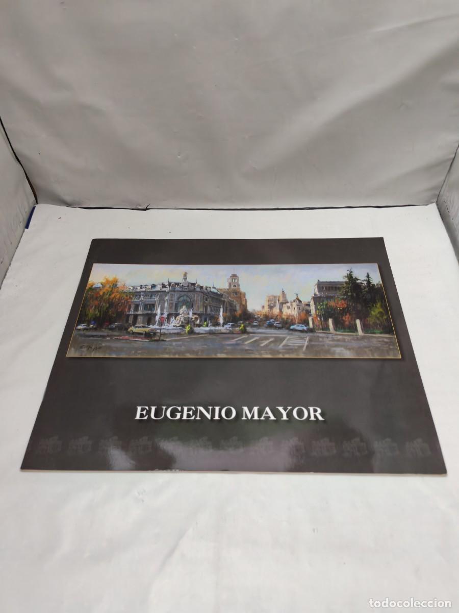 Art: Eugenio Mayor (Cat&aacute;logo exposici&oacute;n, Madrid 2010)