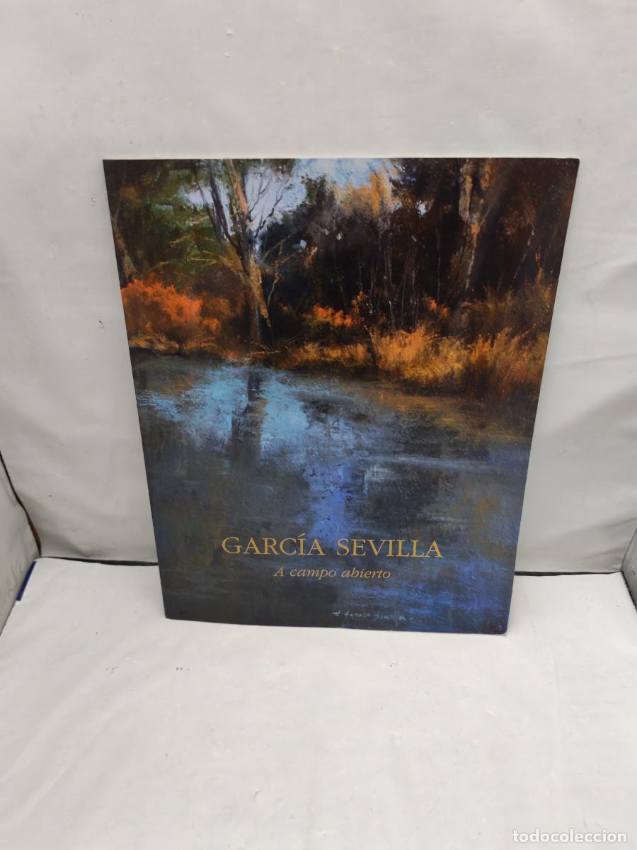 Art: Garc&iacute;a Sevilla: A campo abierto (Cat&aacute;logo Exposici&oacute;n, Madrid 2010)