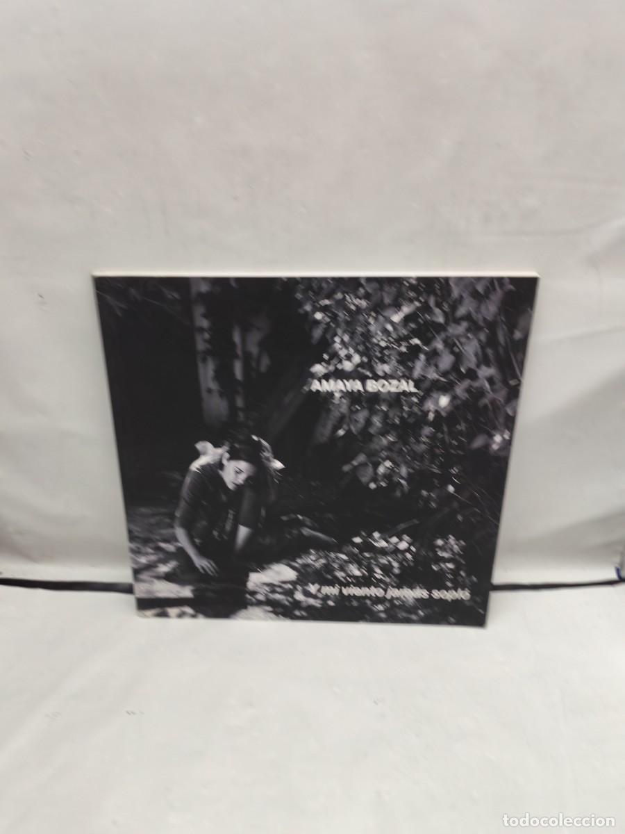 Art: AMAYA BOZAL: Y mi viento jam&aacute;s sopl&oacute; (Cat&aacute;logo exposici&oacute;n, Madrid 2011)