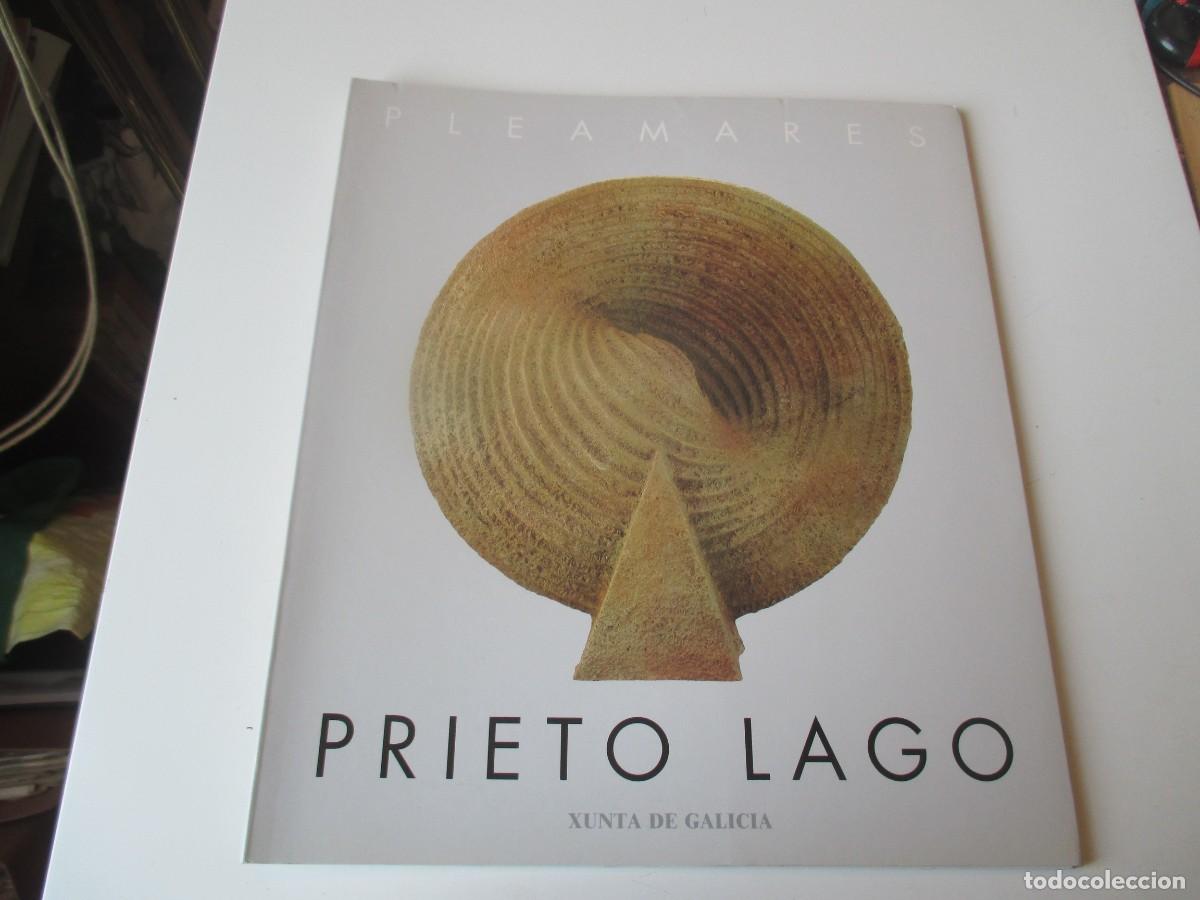 Arte: Cat&aacute;logo de arte Prieto Lago . Pleamares w39746