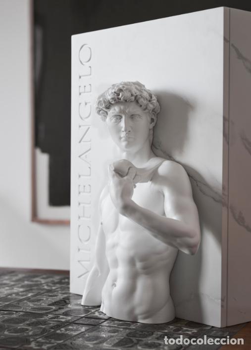 Arte: Michelangelo: Dibujos. el David de Michelangelo Buonarroti. ARTIKA. Escultura - Libro de arte