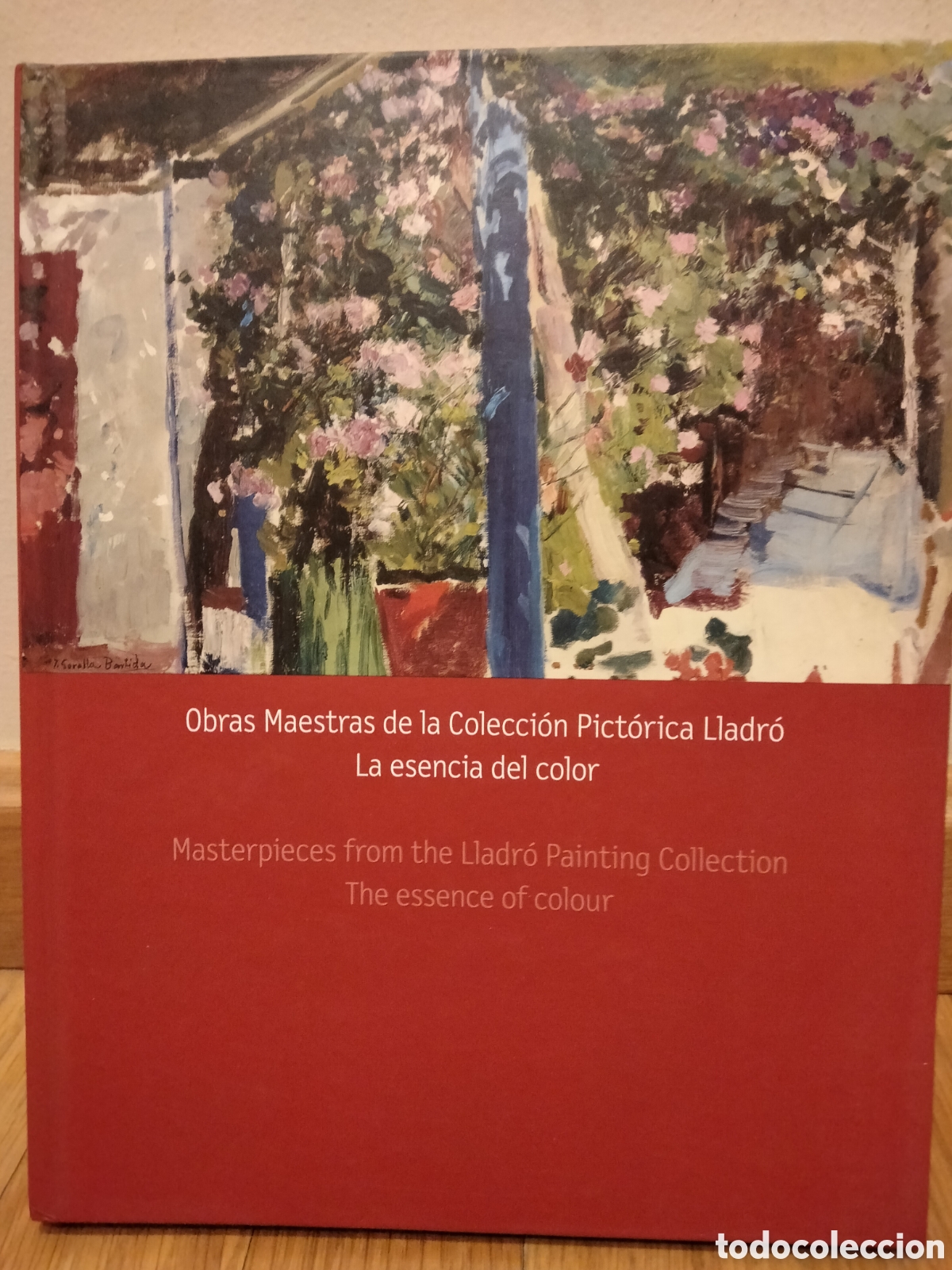 Arte: OBRAS MAESTRAS DE LA COLECCI&Oacute;N PICT&Oacute;RICA LLADR&Oacute;. LA ESENCIA DEL COLOR