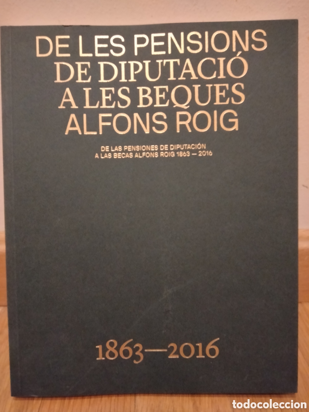 Arte: De las pensiones de Diputaci&oacute;n a las becas Alfons Roig 1863-2016. MUVIM