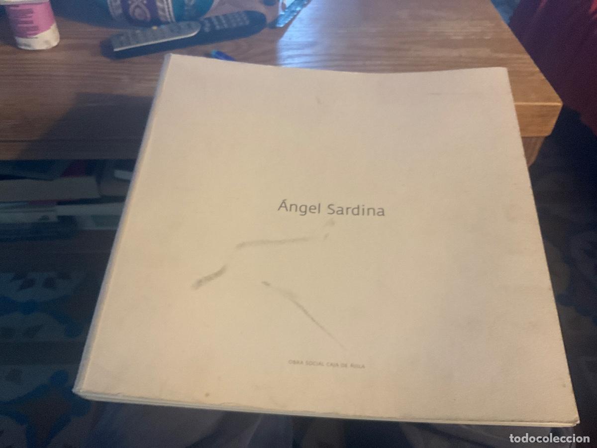 Arte: Angel Sardina ser papel 1969 2004 cat&aacute;logo exposici&oacute;n &Aacute;vila reproducci&oacute;n de m&aacute;s de trescientas obras