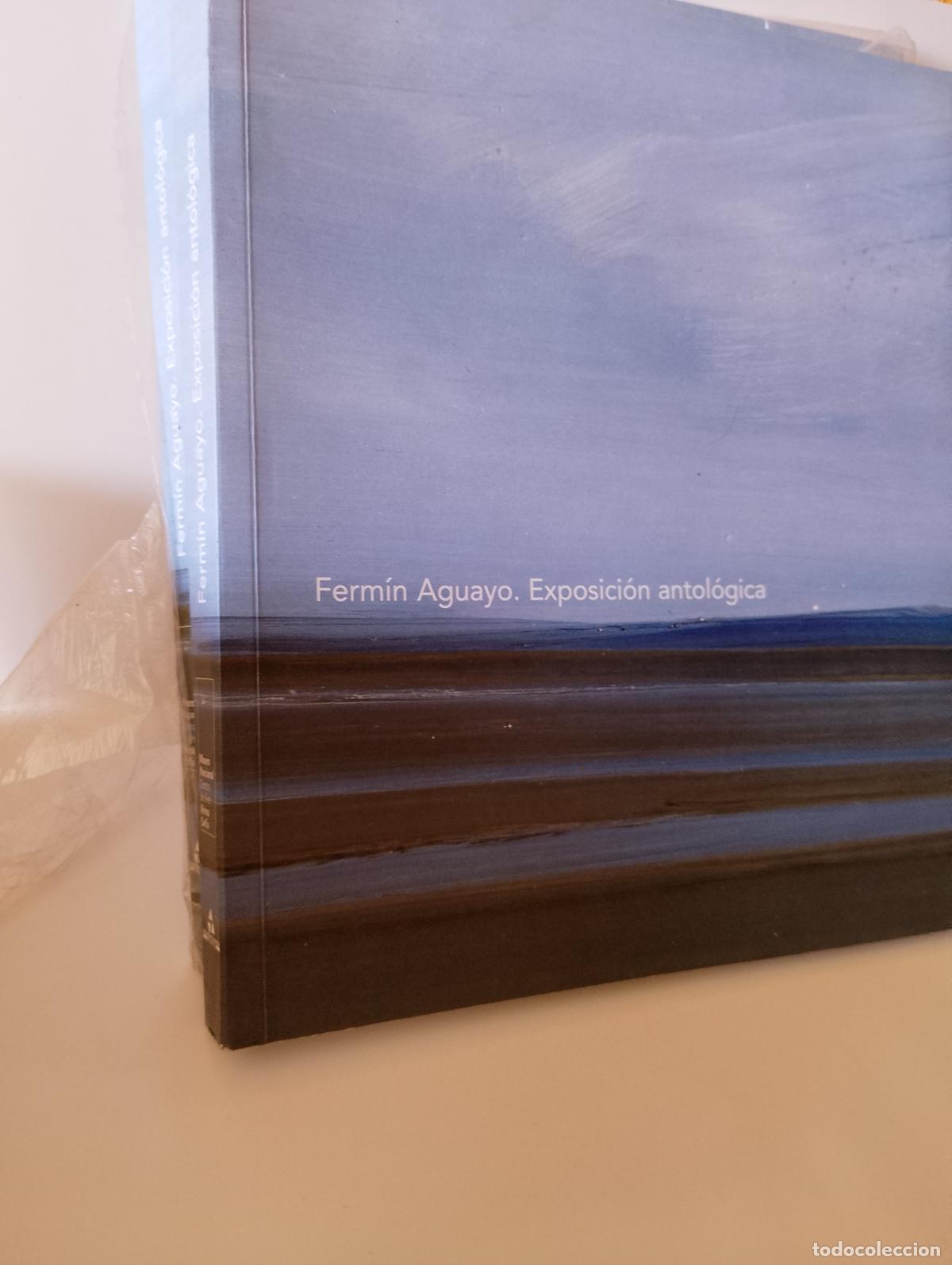 Arte: FERM&Iacute;N AGUAYO EXPOSICI&Oacute;N ANTOL&Oacute;GICA NUEVO. 2005 ALDEASA