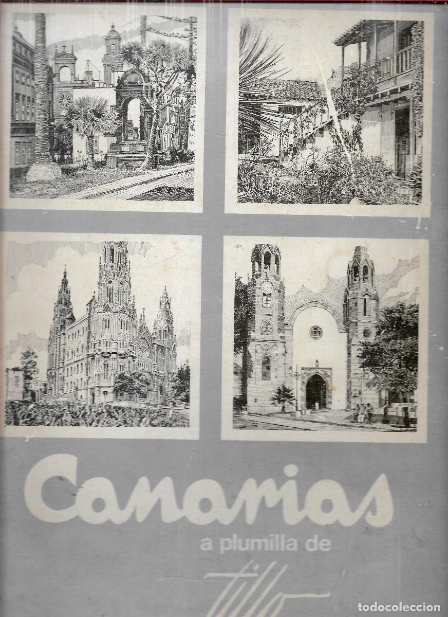 Arte: CANARIA A PLUMILLA DE TILLO DE JACINTO SUARE GRANADO