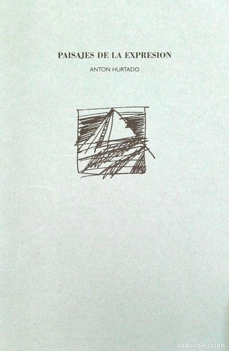 Arte: ANT&Oacute;N HURTADO: PAISAJES DE LA EXPRESI&Oacute;N, POR MIKEL IRIONDO, 2000