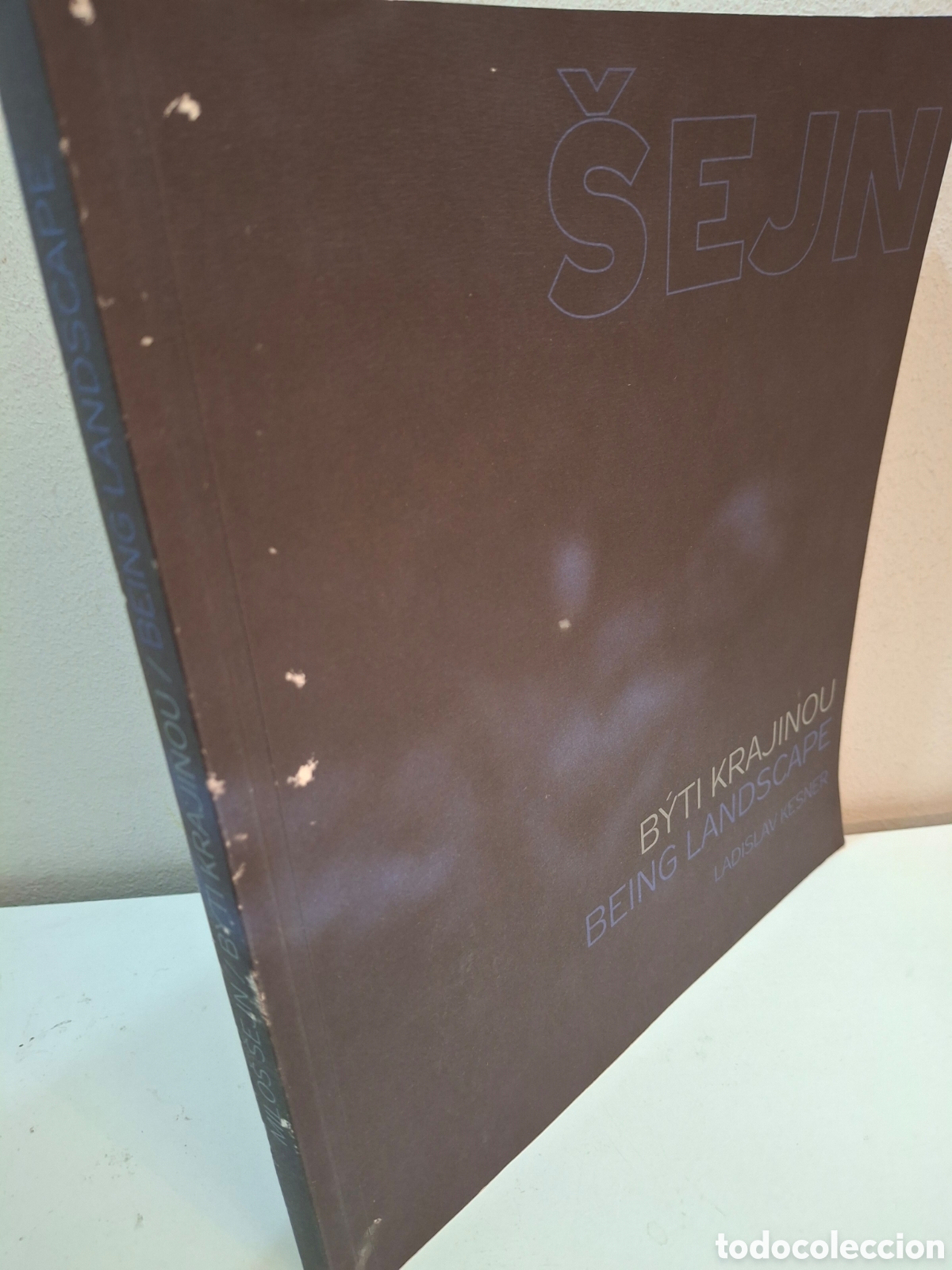 Arte: CATALOGO MILOS SEJN, BEING LANDSCAPE, LADISLAV KESNER, 2006