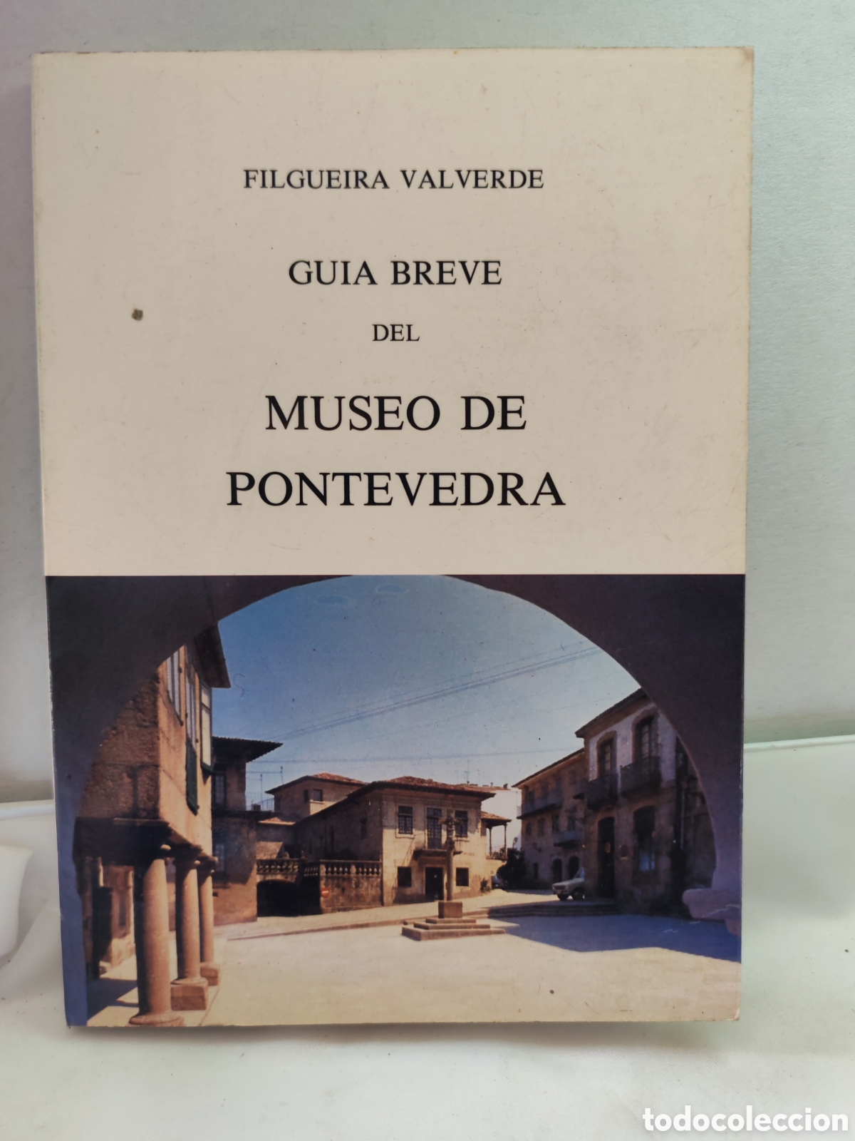 Arte: Guia Breve del Museo de Pontevedra. Jose Filgueira Valverde. 1984.