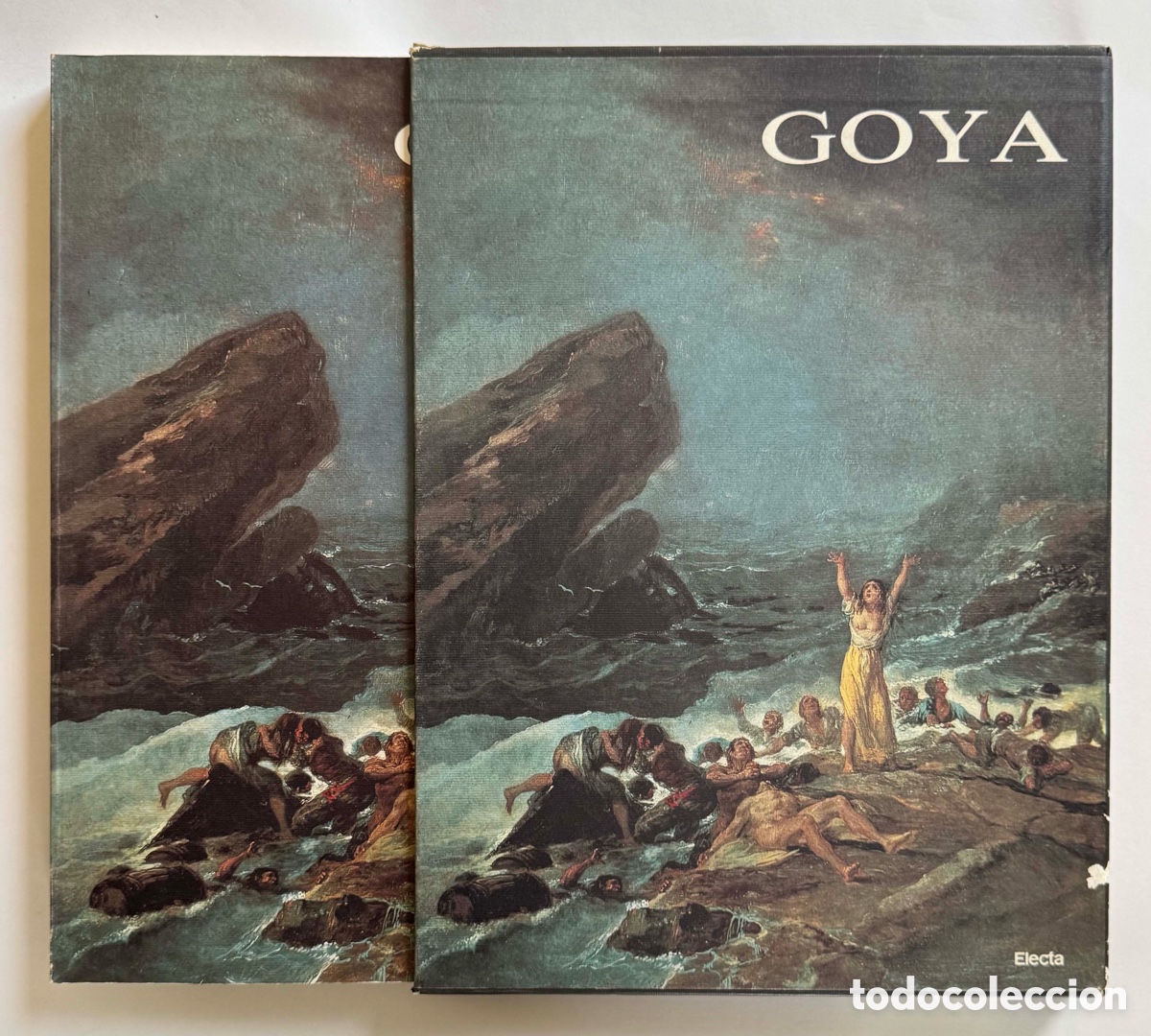 Arte: Livro Goya - Cat&aacute;logo Exposi&ccedil;&atilde;o 1992 (Ed. Electa) + Estojo