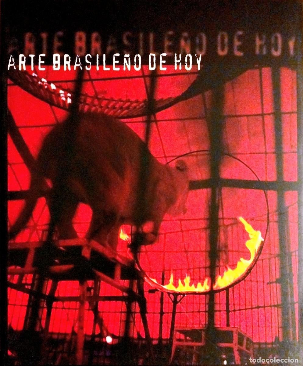 Arte: ARTE BRASILE&Ntilde;O DE HOY, POR FERNANDO FRANC&Eacute;S, 2002