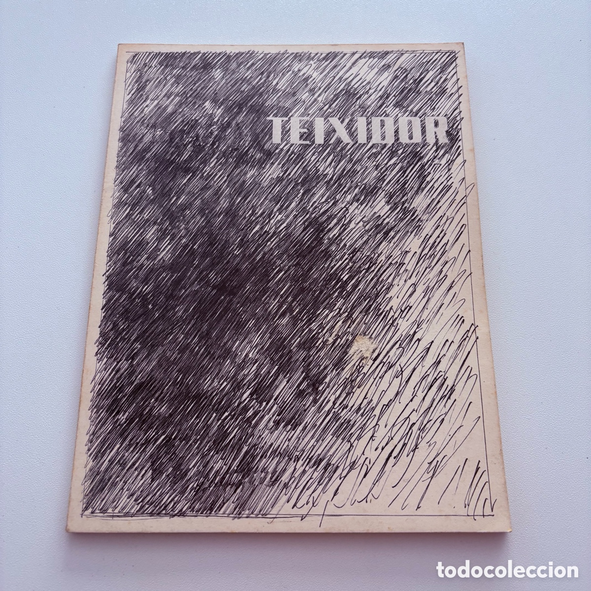Arte: libro catalogo exposicion TEIXIDOR textos de JUAN MANUEL BONET , galeria de arte TEMPS 1974