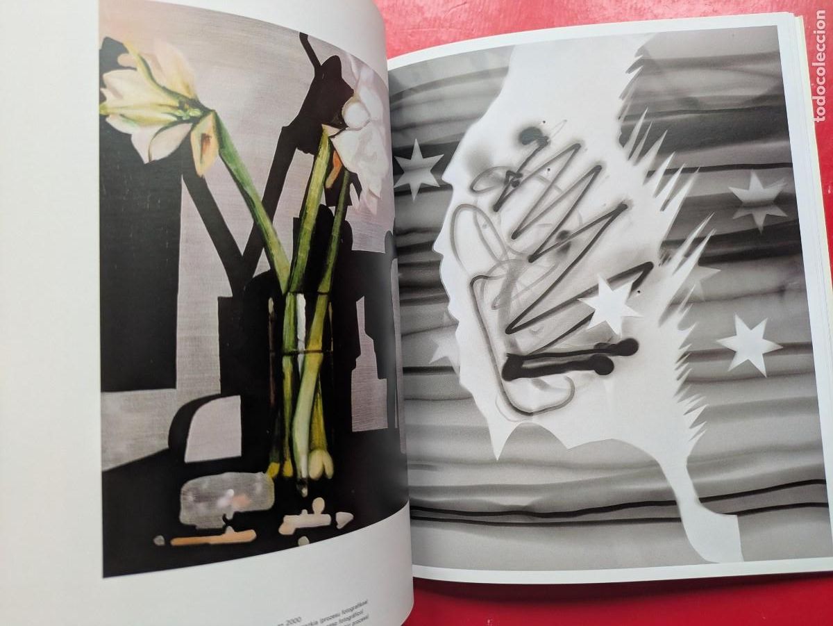 Arte: Cat&aacute;logo Jos&eacute; Ram&oacute;n Amondarain - Foto 3