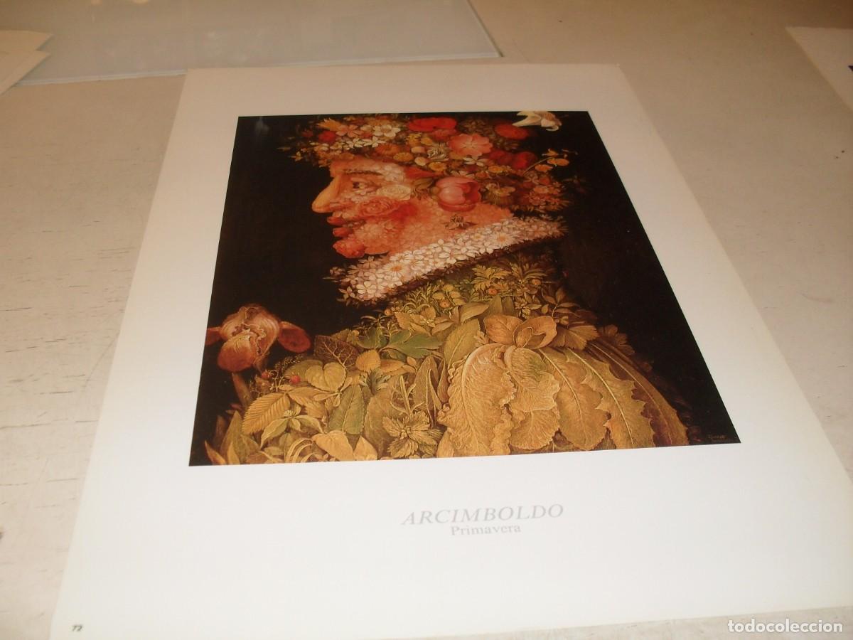 Arte: BELLISISMA REPRODUCCION,LAMINA N&ordm; 72,PRIMAVERA,DE ARCIMBOLDO