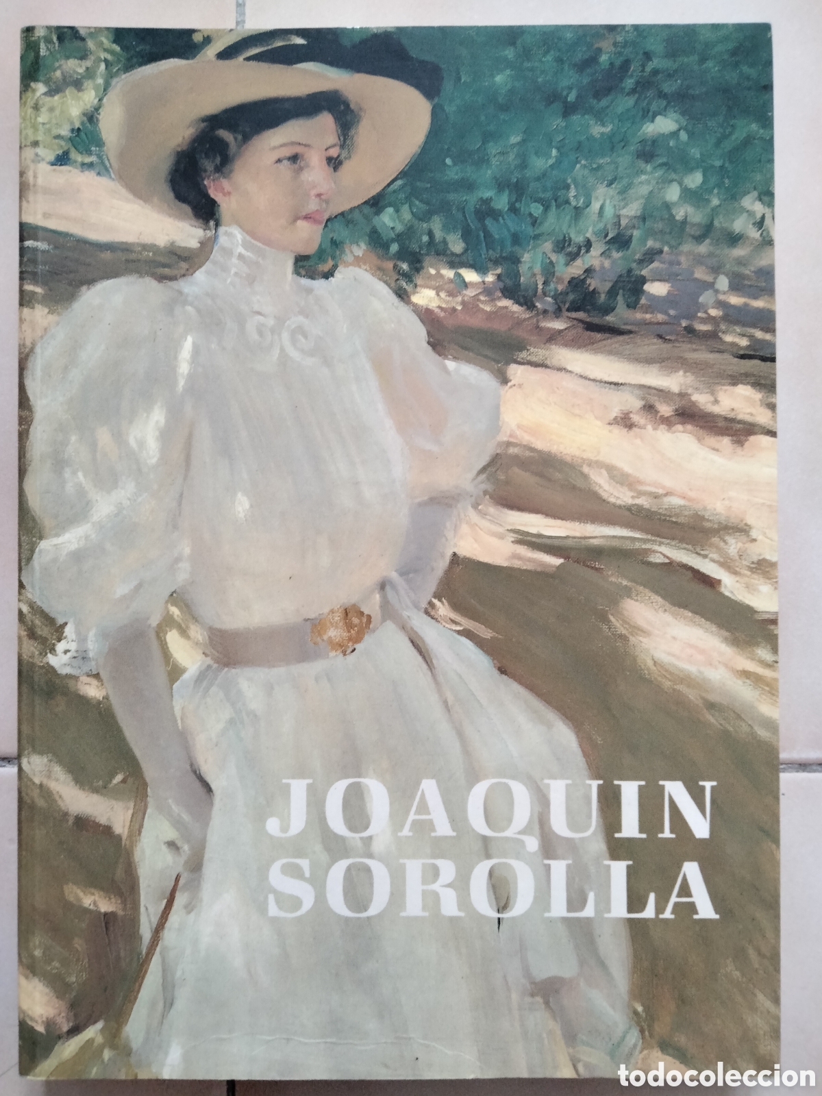Arte: JOAQU&Iacute;N SOROLLA Y BASTIDA .- EDMUND PEEL IVAM 1989 .- CAT&Aacute;LOGO DE EXPOSICI&Oacute;N