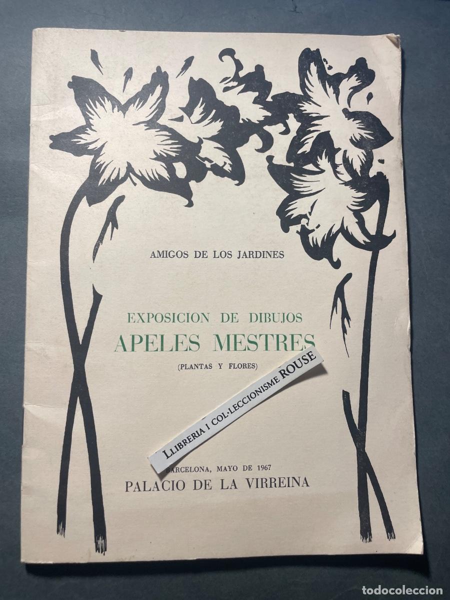 Arte: APELES MESTRES - ANTIGUO CATALOGO EXPOSICI&Oacute;N DE DIBUJOS APELES MESTRES (PLANTAS Y FFLORES) AMIGOS D