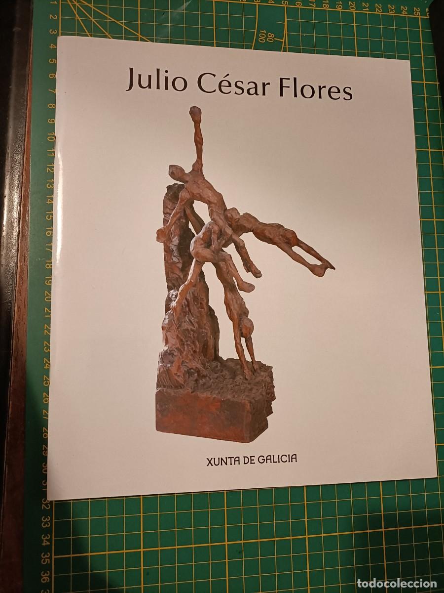 Arte: JULIO C&Eacute;SAR FLORES. CASA DE GALICIA, MADRID. XUNTA DE GALICIA. 2008