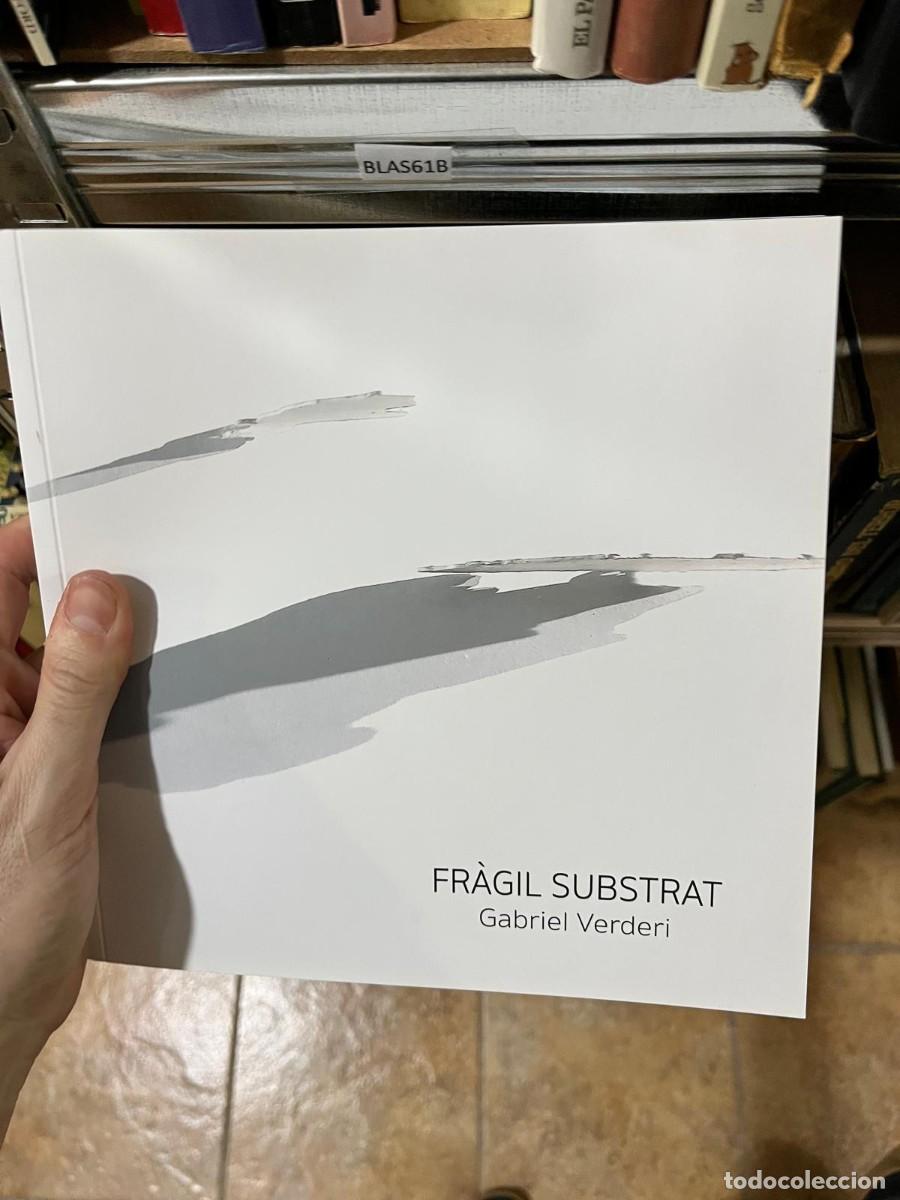 Arte: BLAS61B - Fr&agrave;gil Substrat - Gabriel Verderi -