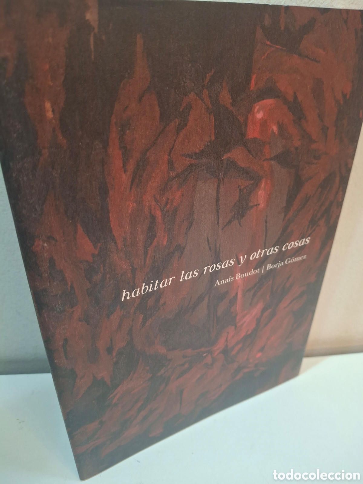 Arte: HABITAR LAS ROSAS Y OTRAS COSAS, CATALOGO ANAIS BOUDOT-BORJA GOMEZ, BILBAOARTE, 2019