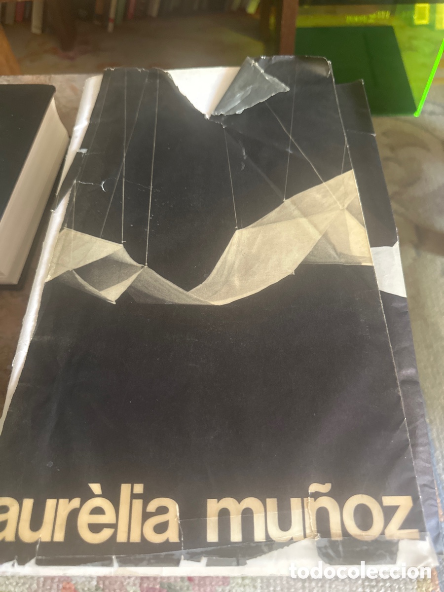 Arte: aurellia mu&ntilde;oz -exposicion 1972, Palacio de cristal del Retiro
