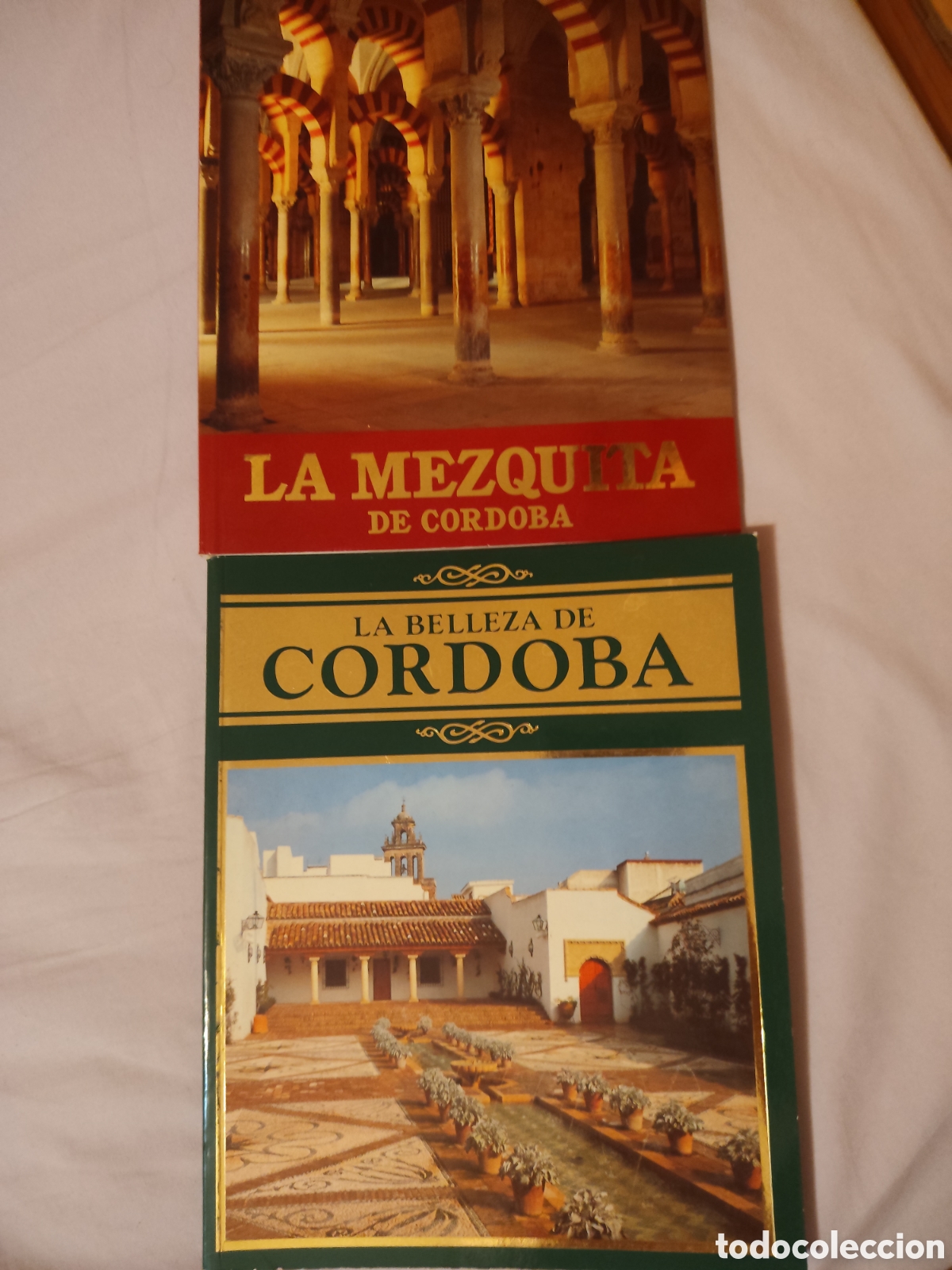 Arte: Lote de 2 fant&aacute;sticas gu&iacute;as visuales impresas sobre la ciudad de C&oacute;rdoba