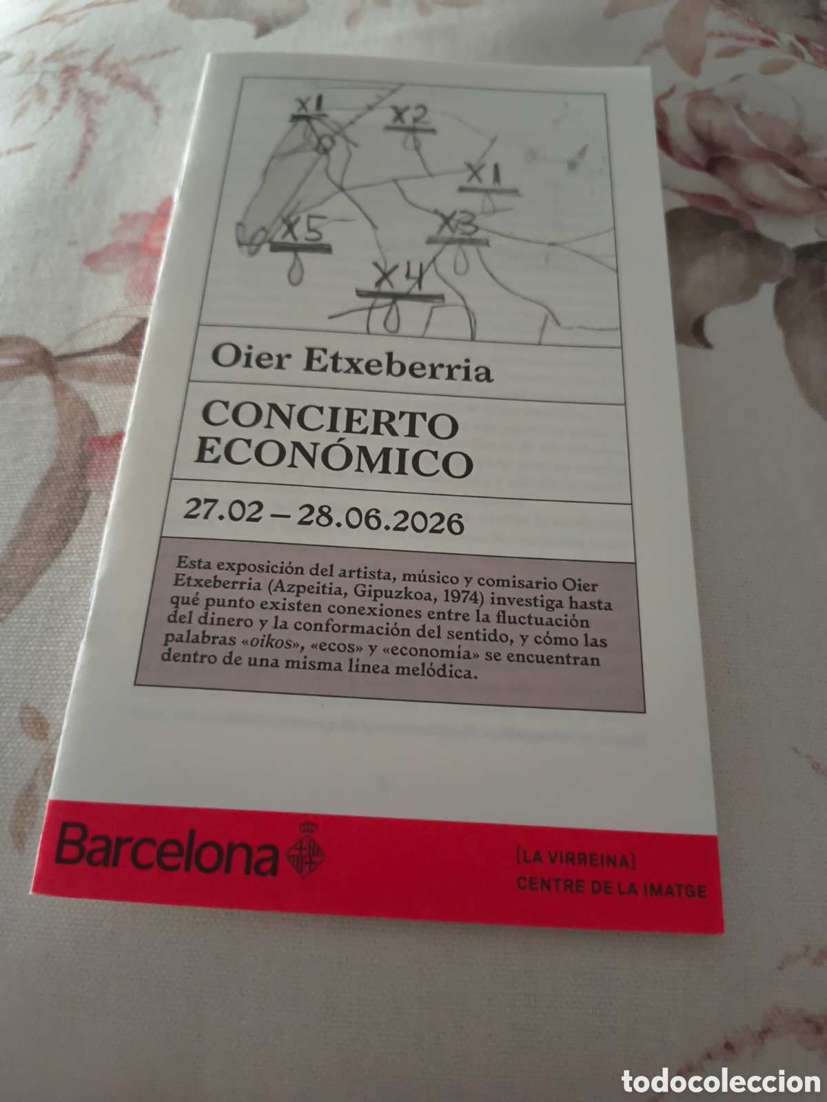 Arte: CONCIERTO ECONOMICO DE OIER ETXEBERRIA. LA VIRREINA. CENTRO DE LA IMAGEN
