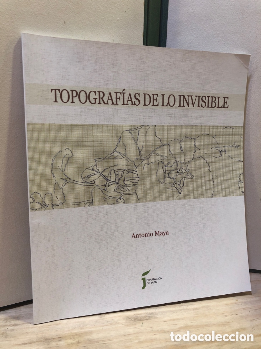 Arte: Topograf&iacute;as de lo invisible - Exposici&oacute;n Antonio Maya