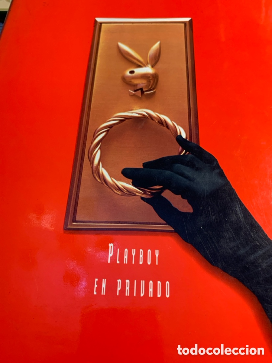 Arte: Libros de playboy dos tomos