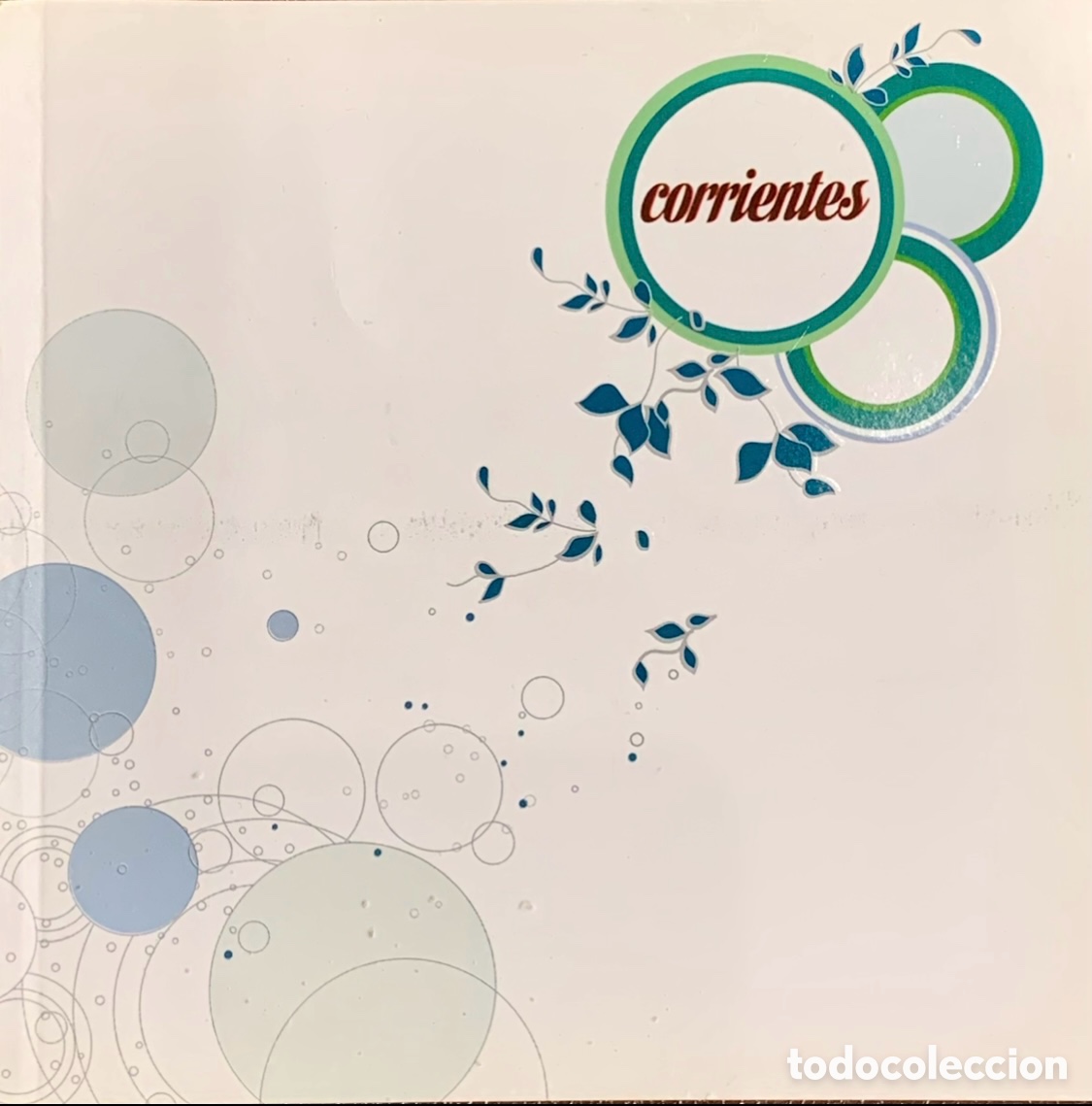 Arte: Libro / Cat&aacute;logo de Exposici&oacute;n. CORRIENTES. Ayuntamiento de Mazarr&oacute;n. Murcia. 2008.