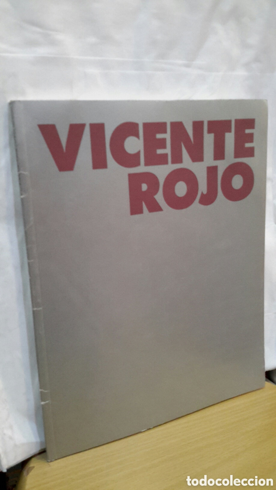 Arte: M&eacute;xico bajo la lluvia - Vicente Rojo