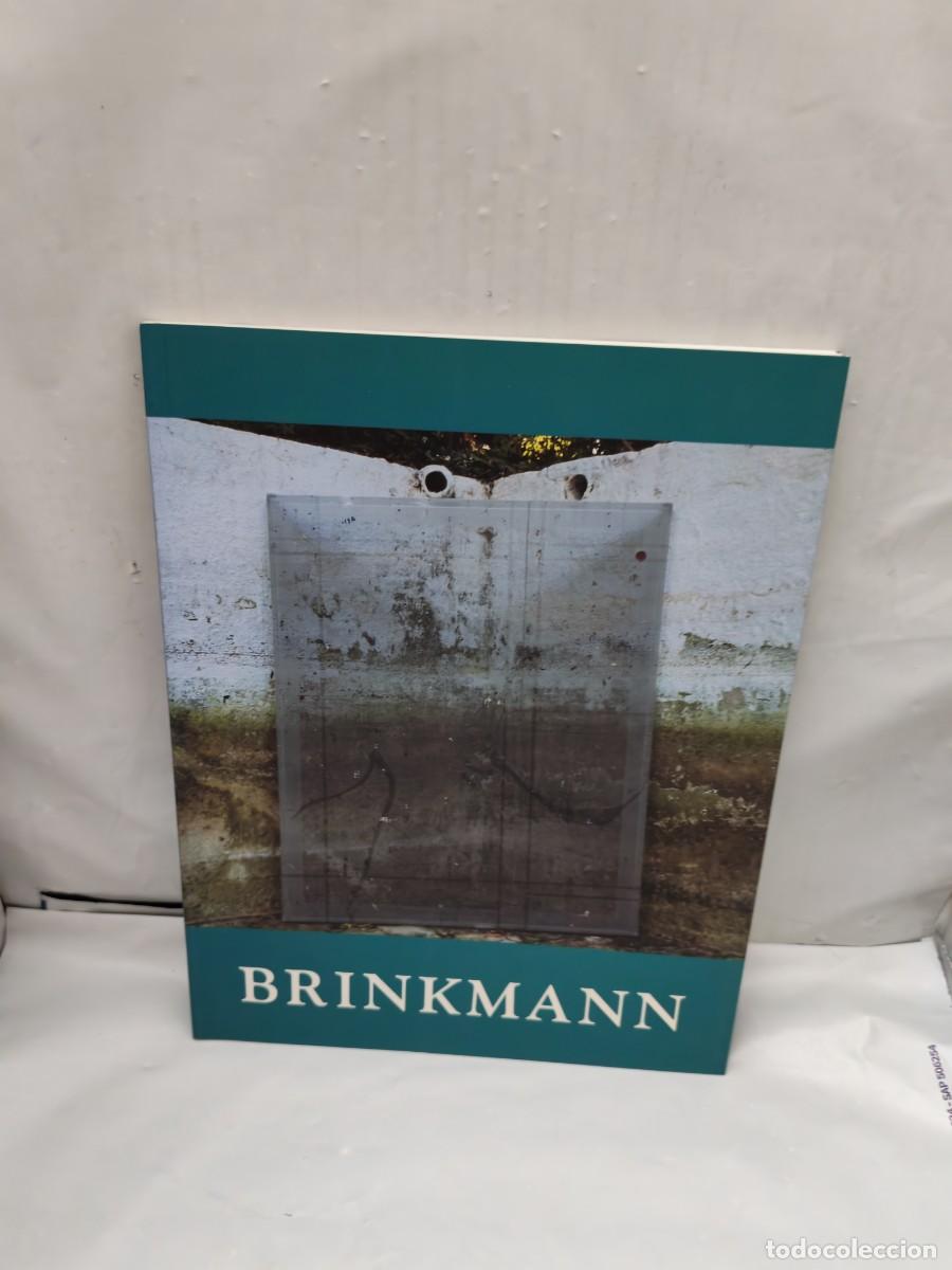 Arte: BRINKMANN (Enrique Brinkmann). Detr&aacute;s de la Sombra (Cat&aacute;logo exposici&oacute;n, Galer&iacute;a Joan Gaspar, 2004)