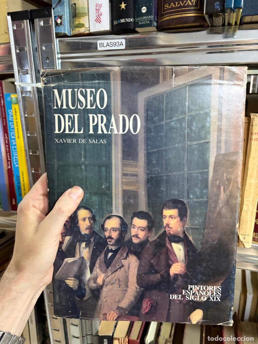 Arte: BLAS93A Museo del Prado: Pintores espa&ntilde;oles del siglo XIX. Xavier de Salas.