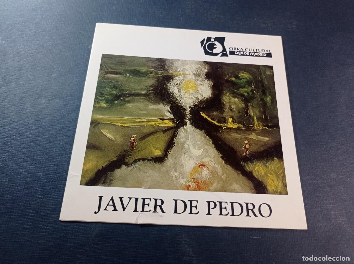 Arte: JAVIER DE PEDRO. CAT&Aacute;LOGO PINTURAS. OBRA CULTURAL, CAJA DE MADRID, ZARAGOZA, 1995. VER +++